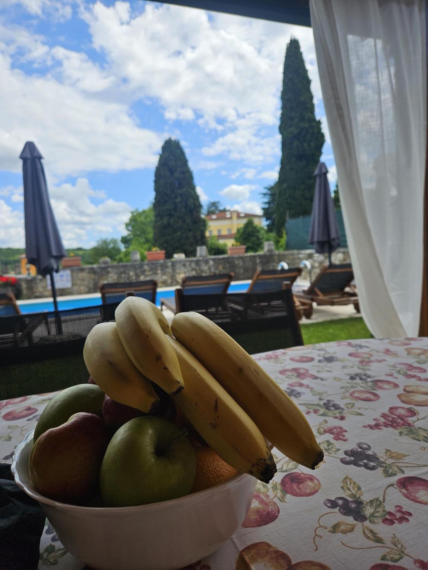 Villa Letizia Oprtalj Buitenkant foto